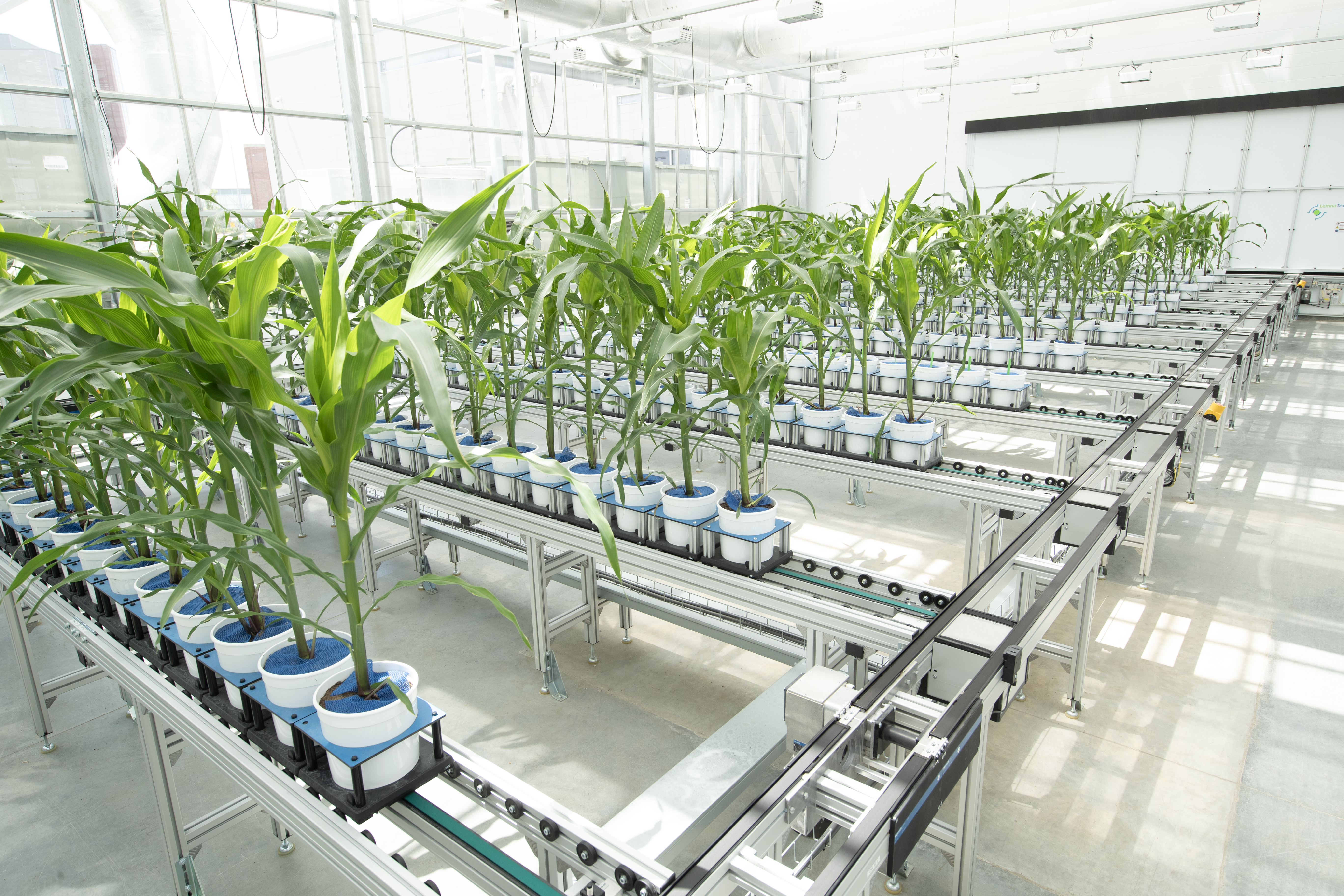 Photo of the interior of a greenhouse.