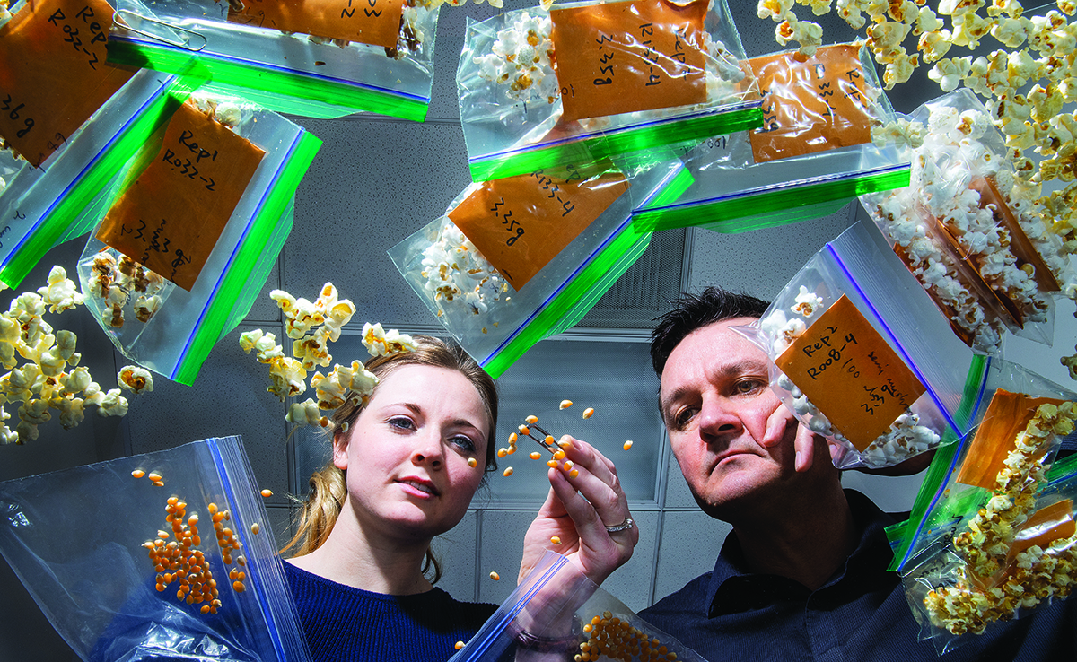 Two people examining corn kernel samples in a lab.