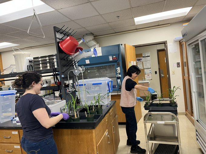 Libia Gomez and Saet-Byul Kim in the laboratory