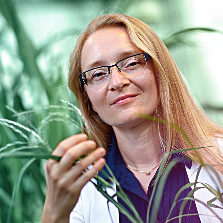 Avatar for Katarzyna Glowacka