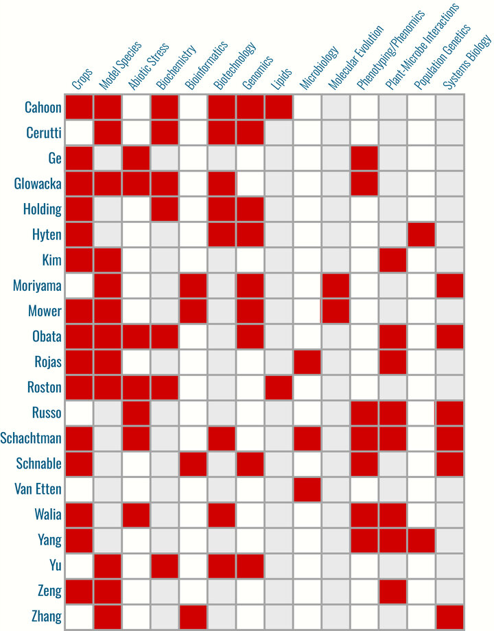 A graphic of the expertise of PSI faculty.