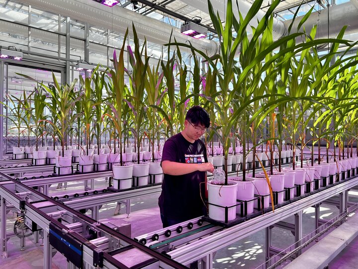 A man in a greenhouse phenotyping facility.