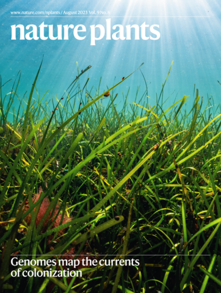 Nature Plants journal cover August 2023