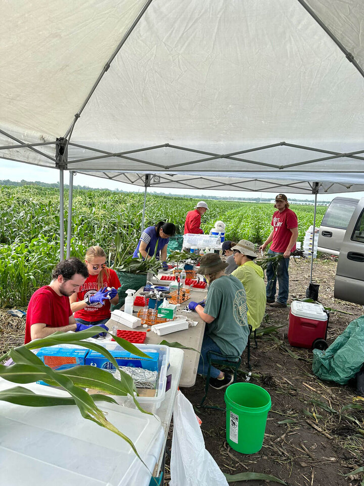 A group of students in a cornfield.