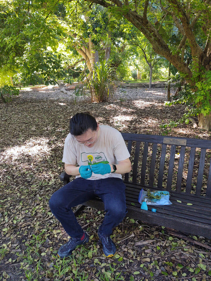 A man sitting on a bench collecting seeds.