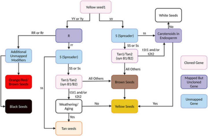 fig 1 - off the shelf image analysis